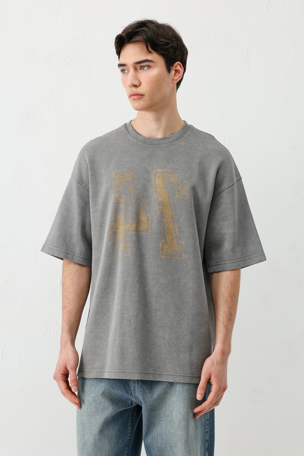 Oversized T-Shirt with Print, Pre-Washed V70-142