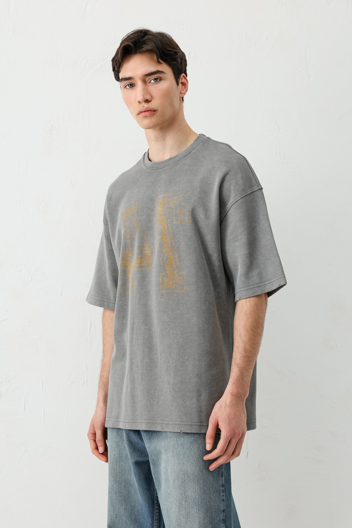 Oversized T-Shirt with Print, Pre-Washed V70-142