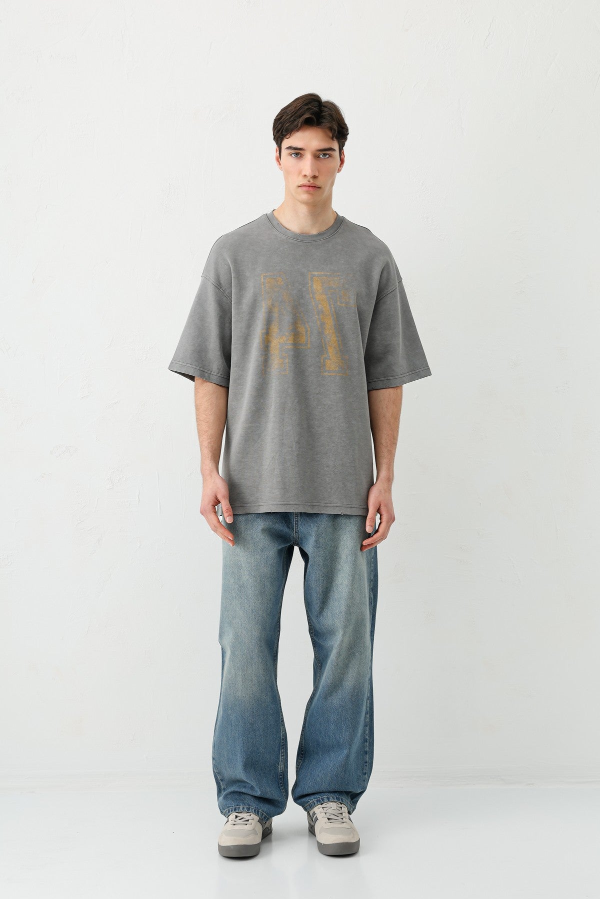 Oversized T-Shirt with Print, Pre-Washed V70-142